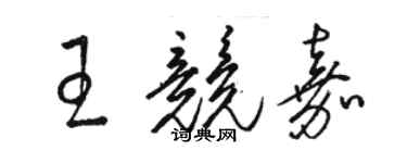 駱恆光王競嘉草書個性簽名怎么寫