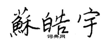 王正良蘇皓宇行書個性簽名怎么寫