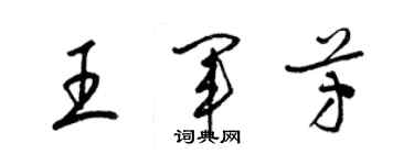 梁錦英王軍芳草書個性簽名怎么寫
