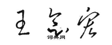 駱恆光王念宏草書個性簽名怎么寫