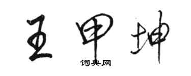 駱恆光王甲坤行書個性簽名怎么寫