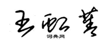 朱錫榮王虹菁草書個性簽名怎么寫