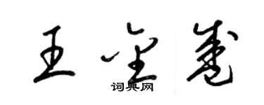 梁錦英王金盛草書個性簽名怎么寫