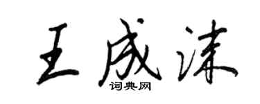 王正良王成沫行書個性簽名怎么寫