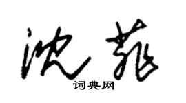 朱錫榮沈菲草書個性簽名怎么寫