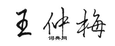 駱恆光王仲梅行書個性簽名怎么寫