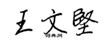 王正良王文堅行書個性簽名怎么寫