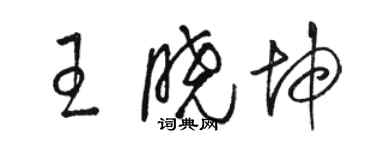 駱恆光王曉坤草書個性簽名怎么寫