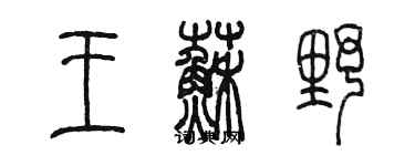 陳墨王蘇野篆書個性簽名怎么寫