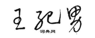 駱恆光王紀男草書個性簽名怎么寫