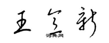 梁錦英王意新草書個性簽名怎么寫