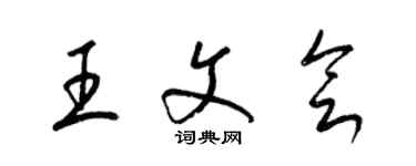 梁錦英王文會草書個性簽名怎么寫