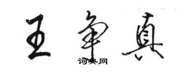 駱恆光王爭真行書個性簽名怎么寫