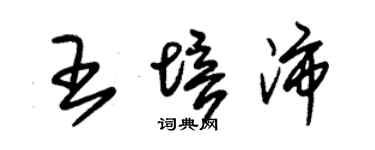 朱錫榮王培沛草書個性簽名怎么寫