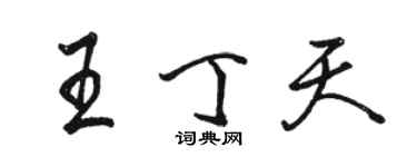 駱恆光王丁天行書個性簽名怎么寫