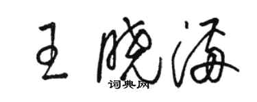 駱恆光王曉滿草書個性簽名怎么寫