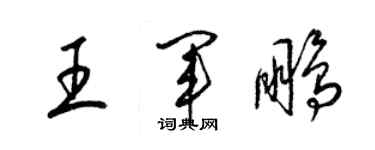 梁錦英王軍鵬草書個性簽名怎么寫