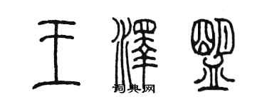 陳墨王澤盟篆書個性簽名怎么寫