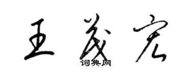 梁錦英王茂宏草書個性簽名怎么寫