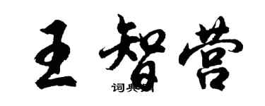 胡問遂王智營行書個性簽名怎么寫