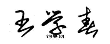 朱錫榮王學春草書個性簽名怎么寫
