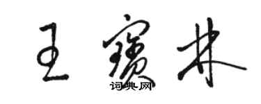 駱恆光王寶林草書個性簽名怎么寫