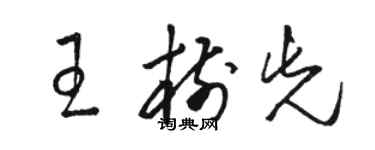 駱恆光王樹先草書個性簽名怎么寫