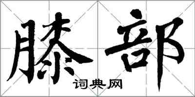 翁闓運膝部楷書怎么寫