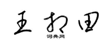 梁錦英王相田草書個性簽名怎么寫