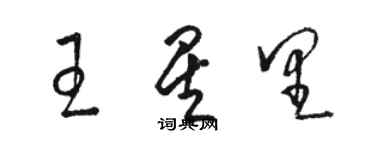 駱恆光王星里草書個性簽名怎么寫