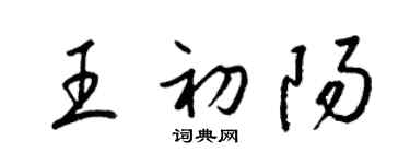 梁錦英王初陽草書個性簽名怎么寫