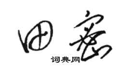 駱恆光田密草書個性簽名怎么寫