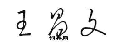 駱恆光王昌文草書個性簽名怎么寫