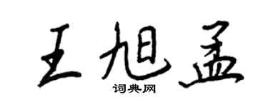 王正良王旭孟行書個性簽名怎么寫