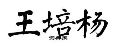 翁闓運王培楊楷書個性簽名怎么寫