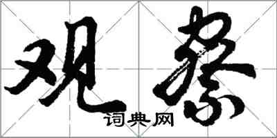 胡問遂觀察行書怎么寫