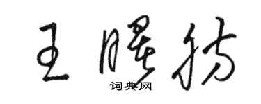 駱恆光王曙肪草書個性簽名怎么寫