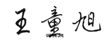 駱恆光王童旭行書個性簽名怎么寫