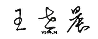 駱恆光王世晨草書個性簽名怎么寫