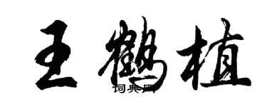 胡問遂王鶴植行書個性簽名怎么寫