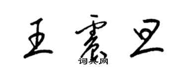 梁錦英王震旦草書個性簽名怎么寫