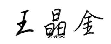 王正良王晶金行書個性簽名怎么寫