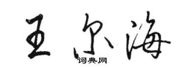 駱恆光王爾海行書個性簽名怎么寫