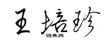 駱恆光王培珍行書個性簽名怎么寫