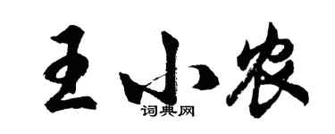 胡問遂王小農行書個性簽名怎么寫