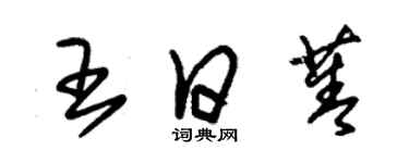 朱錫榮王日菁草書個性簽名怎么寫