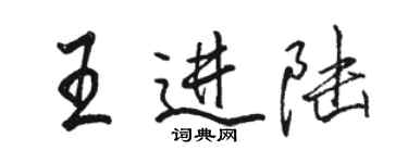 駱恆光王進陸行書個性簽名怎么寫