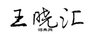 曾慶福王曉匯行書個性簽名怎么寫