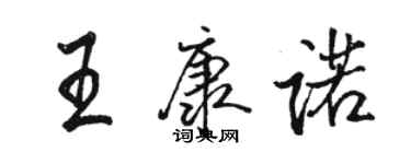 駱恆光王康諾行書個性簽名怎么寫