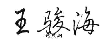 駱恆光王駿海行書個性簽名怎么寫